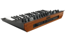Korg Minilogue xd Polyphonic Analog Synthesizer