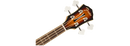 Fender FA-450CE
