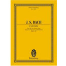 Bach Cantata Jesu Der Du Meine Seele BWV78 For Leaving Cert