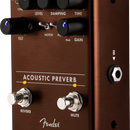 Fender Acoustic Preverb
