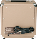 Fender Acoustasonic 15